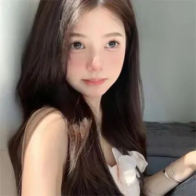 暴风雪中的白鸟